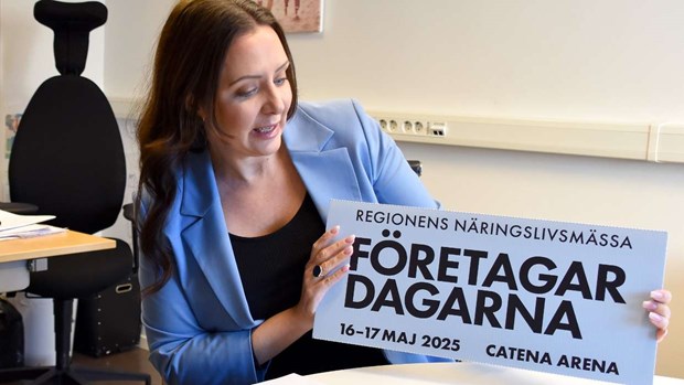 Projektledaren Helena: Projektledaren Helena: