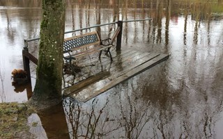 Jakten p� bryggornas �gare