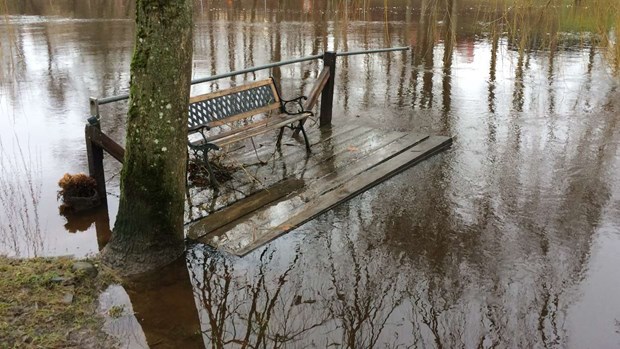 Jakten på bryggornas ägare Jakten på bryggornas ägare