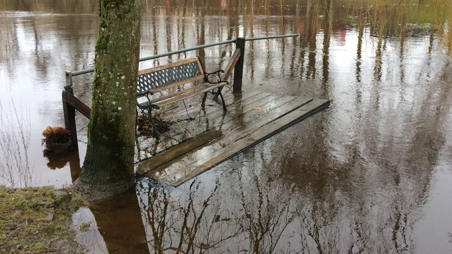 Jakten p� bryggornas �gare